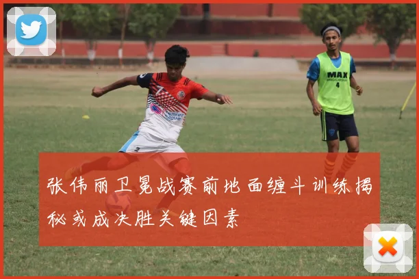 张伟丽卫冕战赛前地面缠斗训练揭秘或成决胜关键因素